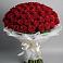 Букет 101 Красная роза Блэк Мэджик в Ровное