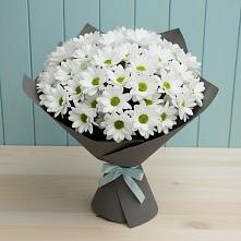 Букет цветов из:  Хризантемы в Ровное
