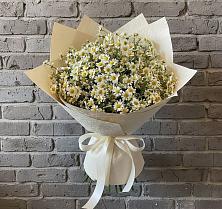 Букет цветов из:  Ромашки в Ровное
