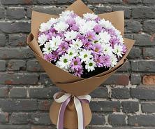 Букет цветов из:  Хризантемы в Ровное