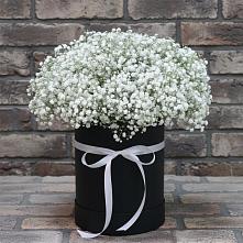 Цветочная композиция из Гипсофила в шляпной коробке #REPLACE_PRED# Ровное