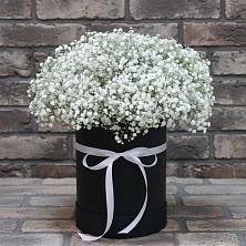 Цветочная композиция из Гипсофила в шляпной коробке в Ровное