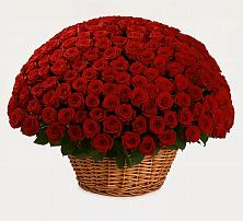 Премиум букет из: Розы в Ровное