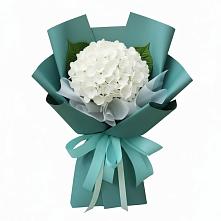 Букет цветов из:  Гортензия в Ровное